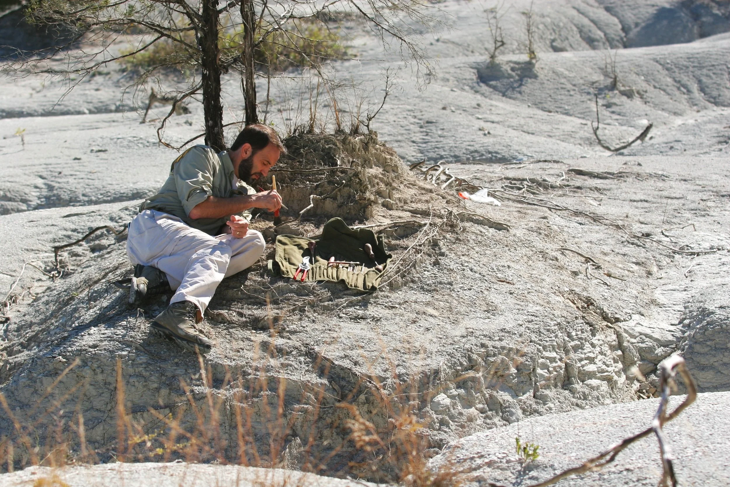 DR. JAMES LAMB | Discover Conservation Opportunities – Join Us